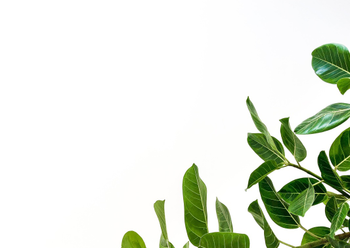 DuhRightWay - Health, Wellbeing and Making Money Lifestyle