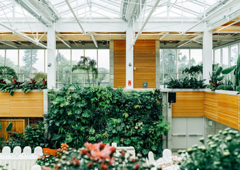 DuhRightWay - Health, Wellbeing and Making Money Lifestyle